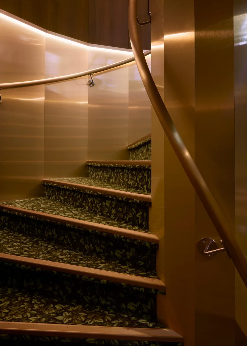 Cinema circulation with bespoke carpet, a brass stair and a curved handrail.