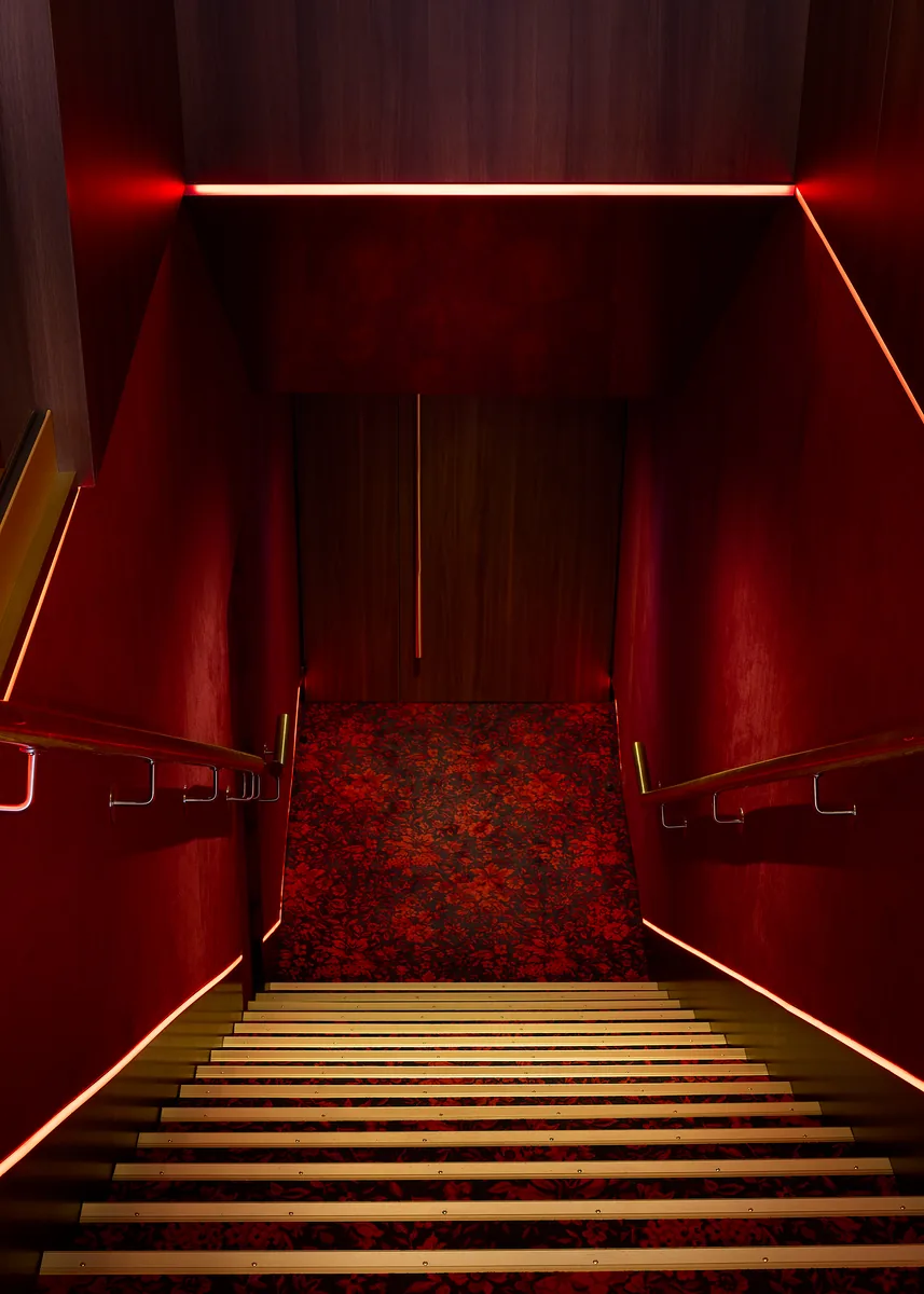 Cinema stair with floral carpet and brass nosings, a red LED line and lacquered panelling.
