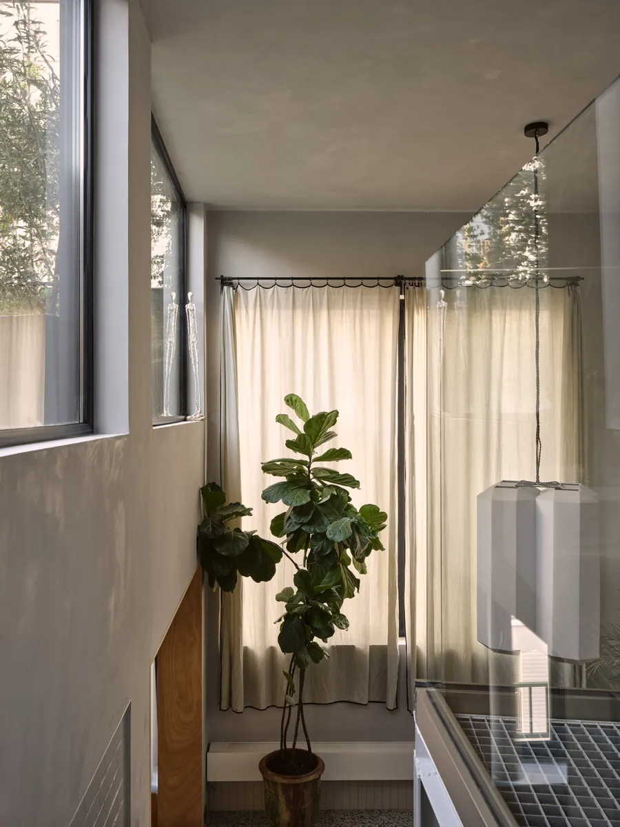 Pièce en double hauteur avec rideaux de lin, ficus lyrata et fenêtres hautes au niveau de la terrasse.
